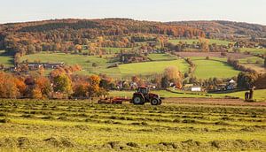 Süd-Limburg in Herbstfarben