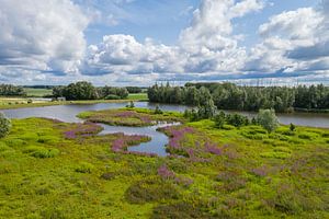 Loch des Schinkens im Sommer 1
