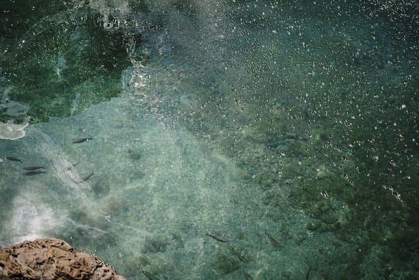 Grün-blaues Wasser mit Fischen und Blasen von Dian Schuurkamp