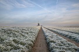 Magischer Sonnenaufgang an der Windmühle!