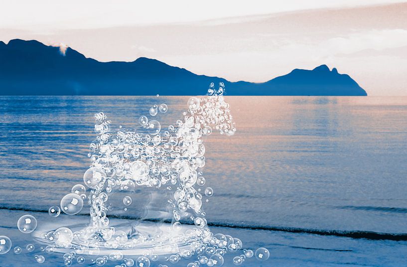 Een paard van waterdruppels nr. 2 van Studio Mirabelle