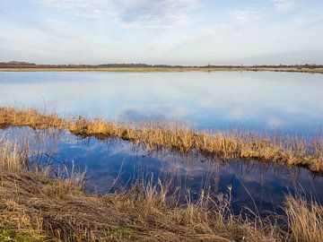 Flooding in northern Germany by Katrin May