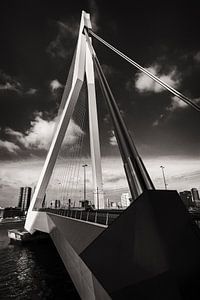 Erasmus-Brücke Rotterdam