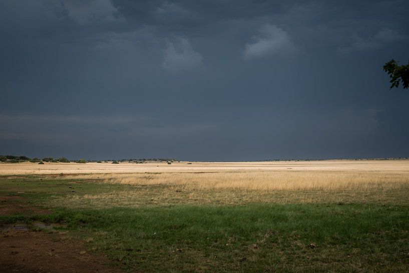 The Great Karoo by Theo van Woerden