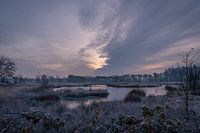 Lever de soleil par une journée froide dans la Hatertse Venne