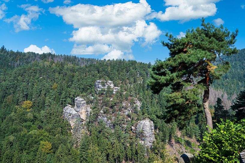 A view from the ruins of Oybin Monastery by Andreas Völkel