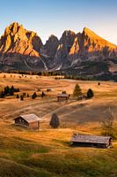 Seiser Alm in den Dolomiten