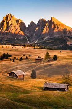 Seiser Alm in den Dolomiten