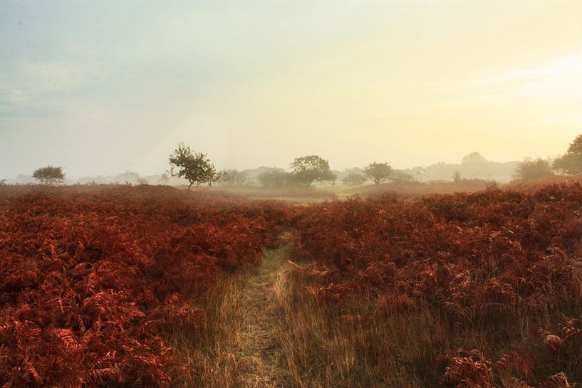 Herfst  van Jessica Wy