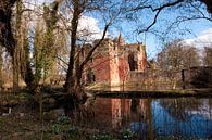 Ruine van Brederode van Brian Morgan thumbnail