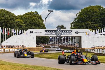 Max Red Bull anniversary op Goodwood van Bob Van der Wolf