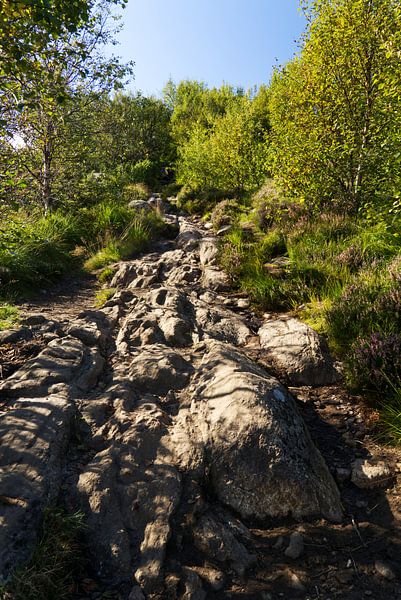 Rocky path to the summit of Sukkertoppen near Alesund by Anja B. Schäfer