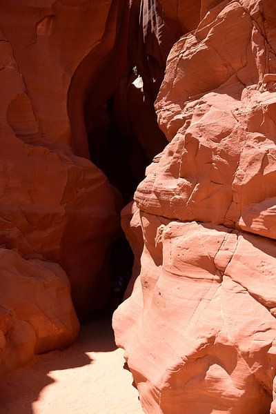 The back entrance by Frank's Awesome Travels