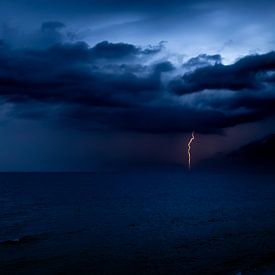 Anne Schwedat photo de profil