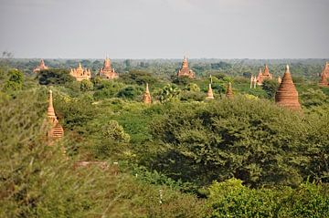 Bagan: land van duizend pagodes van Frank Photos