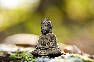 Buddha Relax