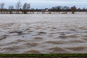 Plaine inondée