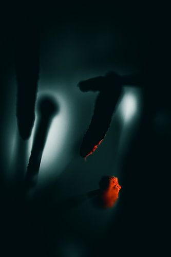 In Luce et Tenebris