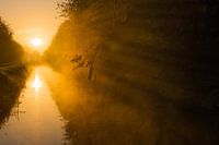schaduwen bij zonsopkomst