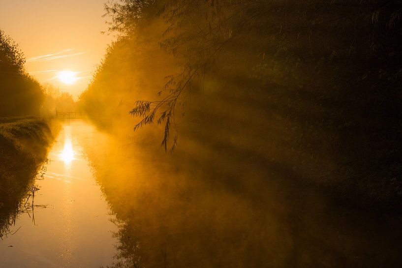 Schatten bei Sonnenaufgang von Wouter Cornelissen