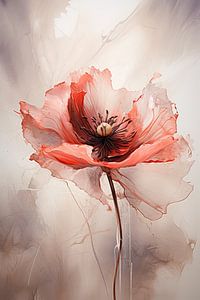 Coquelicot sur Wall Wonder