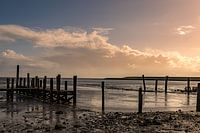 Texel, harbour of De Cocksdorp