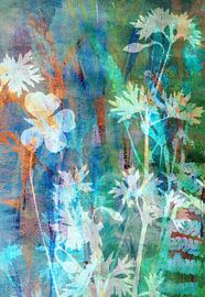 floral shadow play by Claudia Gründler