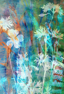 florales Schattenspiel