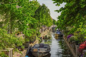 Wassergraben in Leiden