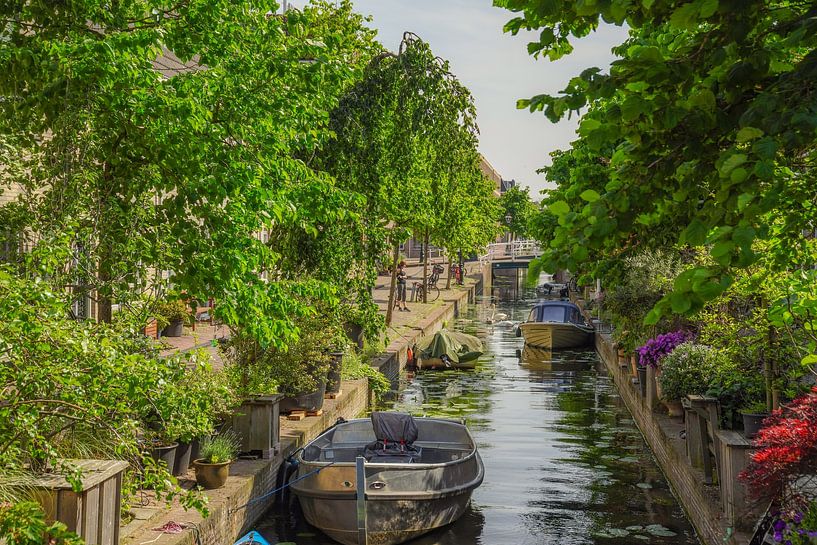Gracht in Leiden van Dirk van Egmond