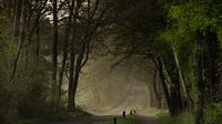 Country road in the atmosphere of the old masters