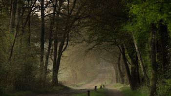 Landstraße in der Atmosphäre der alten Meister