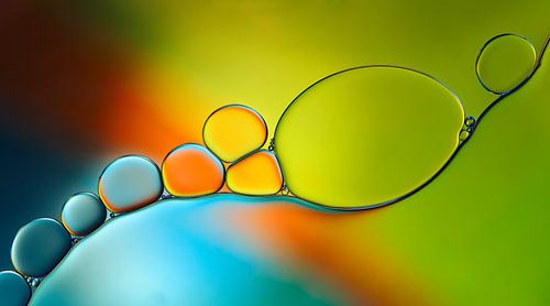 Suivre le leader sur Heidi Westum