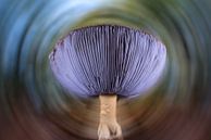 Eat me by Paul Glastra Photography thumbnail