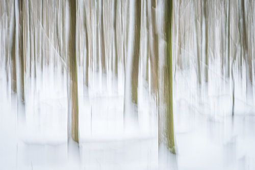 Dansende bomen