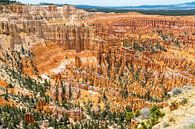 Bryce Canyon Hoodoos van Peter Leenen thumbnail