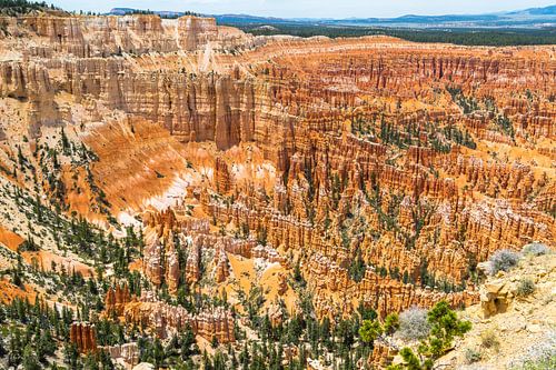 Bryce Canyon Hoodoos