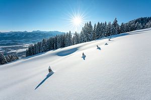 Winterlandschaft im Allgäu