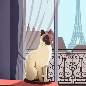 Siamese Cat in Paris