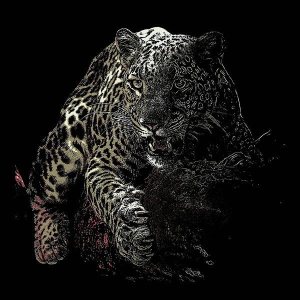 Leopard by Yoga Pranata