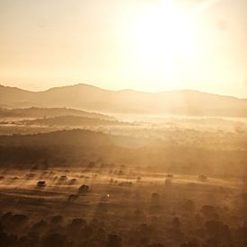 Zonsopkomst over het heilige bos van Ward Jonkman