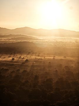 Zonsopkomst over het heilige bos van Ward Jonkman