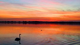 Zonsondergang Loosdrechtse Plassen von Marc Schokker