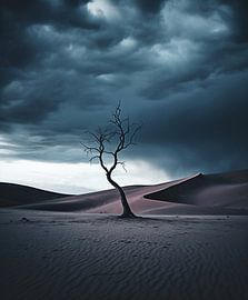 Aesthetic minimalism