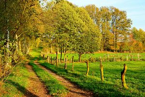 Herfstwandeling van Gisela Scheffbuch