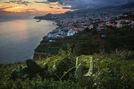 Madeira Funchal zum Sonnenuntergang von Jean Claude Castor Miniaturansicht