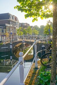 Leiden op zijn mooist!