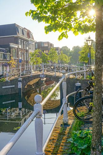 Leiden op zijn mooist!