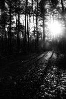 Light fall