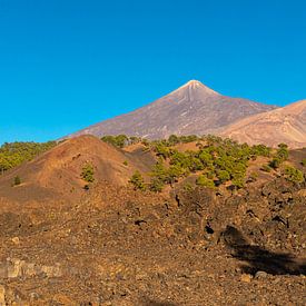Uitzicht op de Teide bij de Mirador de los Poleos van Alexander Wolff